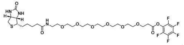 cas:1352814-12-0、生物素六聚乙二醇五氟苯酯、Biotin-PEG6-PFP