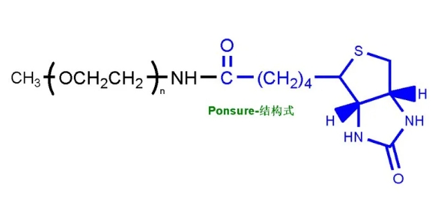 甲氧基聚乙二醇生物素、mPEG-Biotin